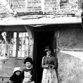 The Story of Nellie Davis