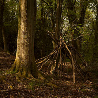 A Constant Ramble, by Matt Writtle