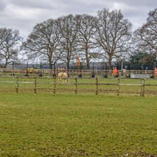 Trees saved on Leather Lane