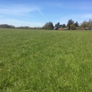 CCB makes formal complaint to the Planning Inspectorate about Sonning Common appeal decision