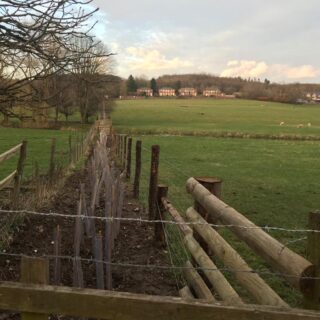 Landscape Connections forges ahead despite lockdown!