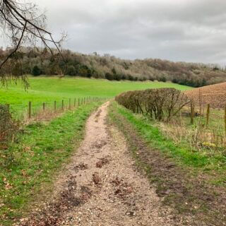 Downley Common Preservation Society