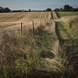 A Constant Ramble by Matt Writtle: Walk #4: Bottom House Farm Lane to Penn (4.9 miles)