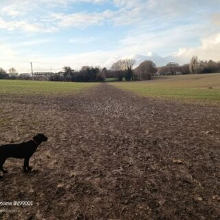 ‘Respect the Chilterns Countryside’ plea from leading conservation groups and farmers