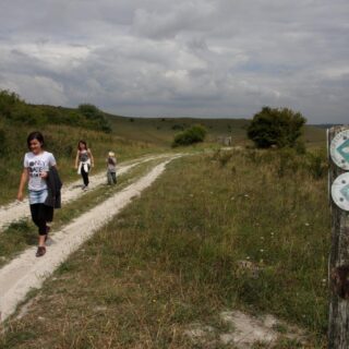 New social-distance friendly walks launched in the Chilterns
