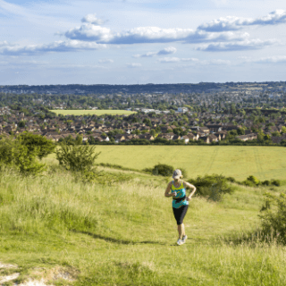Brand new £2.8 million landscape partnership project "Chalkscapes" gets the green light for development