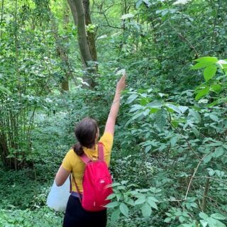 It's that time again- let's get making Elderflower cordial!