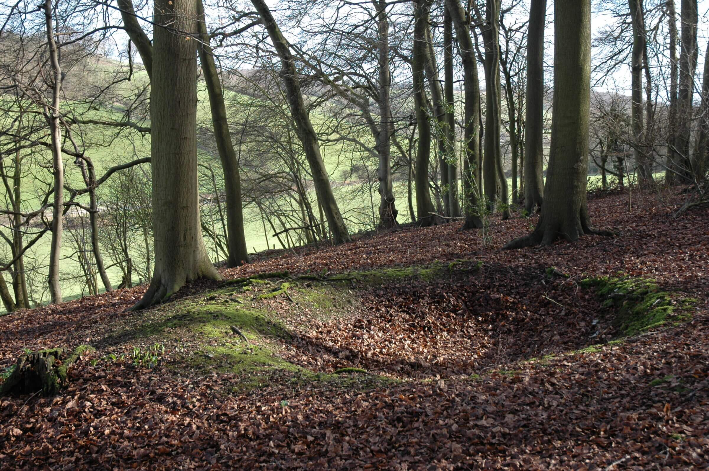 Pigotts Wood sawpit