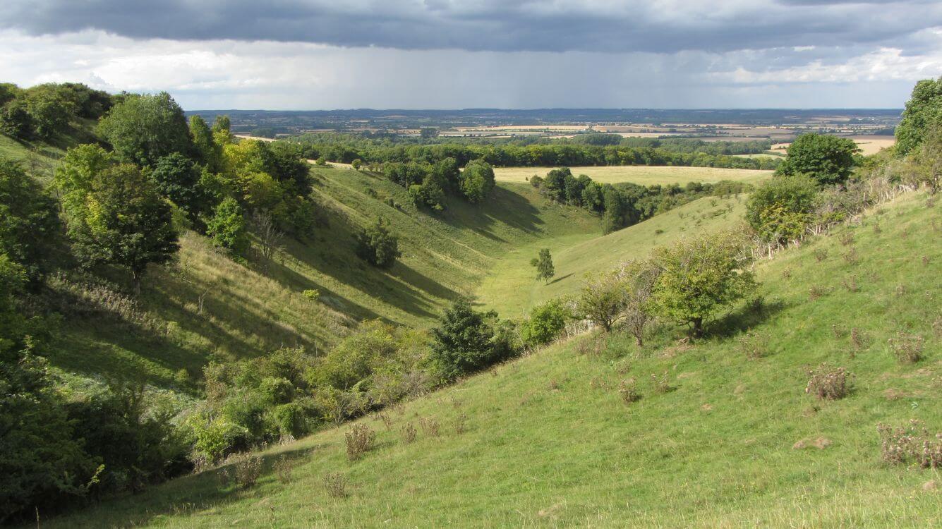 Nature And Wildlife Of The Chilterns Chilterns National Landscape