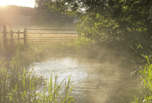 The River Chess chalk stream at Latimer. Image Allen Beechey