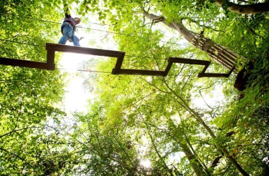 Viewed from underneath, someone balances along a narrow zig zag walkway in the tree canopy at Go Ape