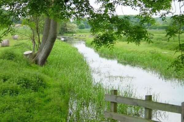 MISBOURNE UPSTREAM OF SHARDLOES MAY 2003 ED