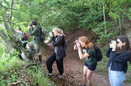 New Shoots 26.06.2021 4