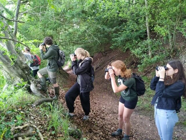 New Shoots 26.06.2021 4