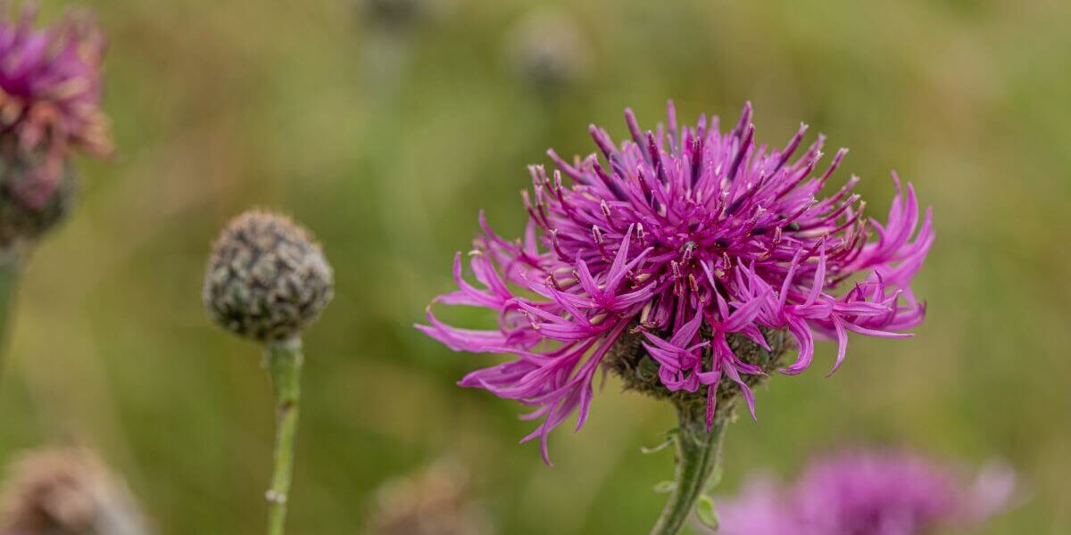 Update on recent media coverage