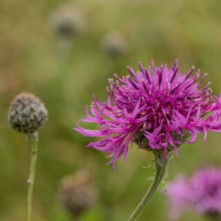 Update on recent media coverage