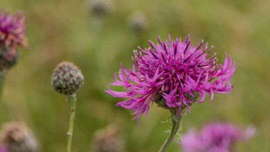 Update on recent media coverage