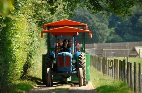 Tractor-Trailer-Rides-Odds-Farm-Park-