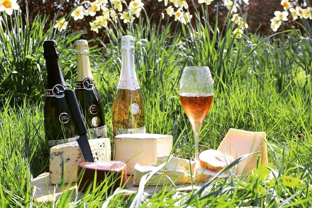 daws hill experiences