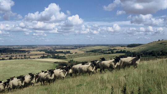 New plans to accelerate the recovery of nature in England’s Protected Landscapes