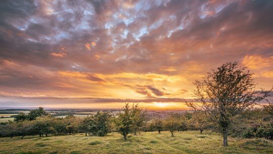 Bigger and Better – next steps for the Chilterns AONB