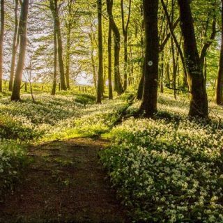 Welcome to our new website!