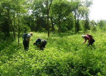 Thames Valley Environmental Records Centre