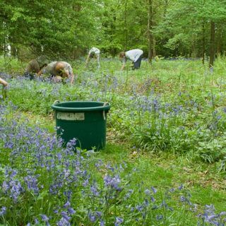 Watlington Environment Group