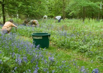 Watlington Environment Group