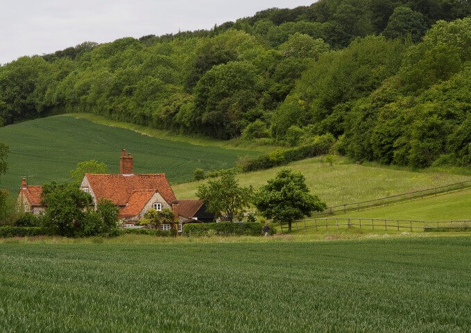 SD_walk_Fillingdon_Farm_red_kite_piddington