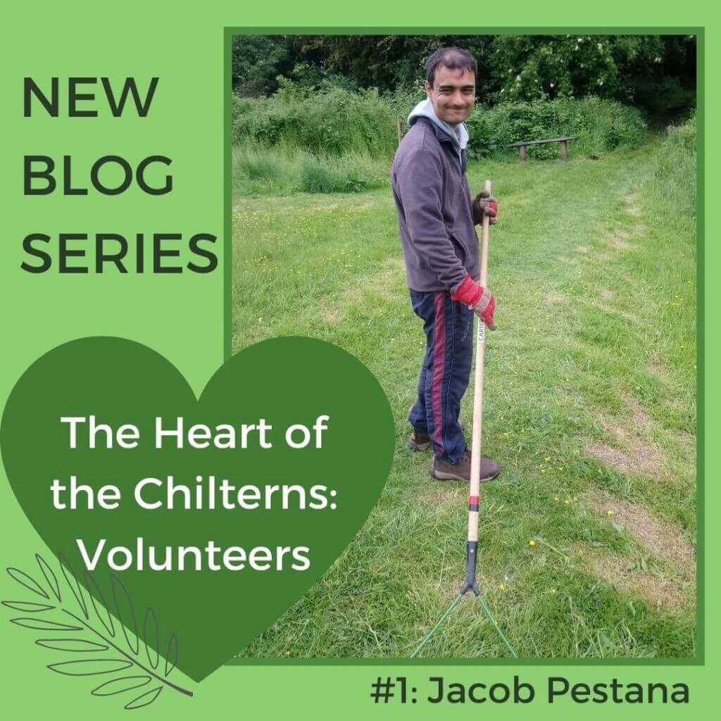 Heart of the chilterns graphic