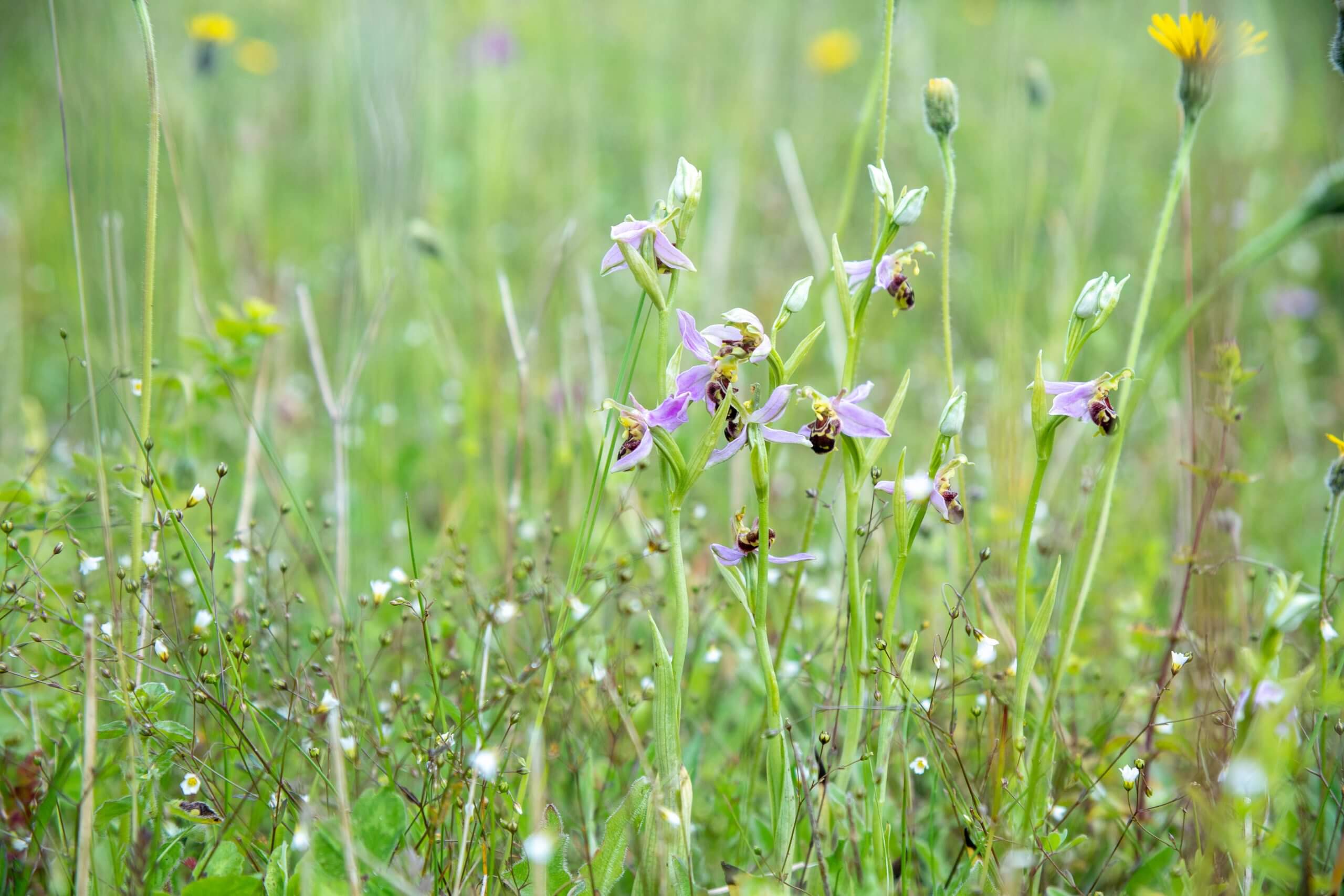 Combatting climate change