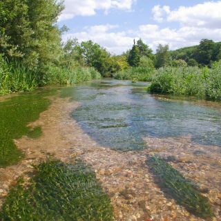 Chalk streams receive boost as Affinity Water turns off the pump