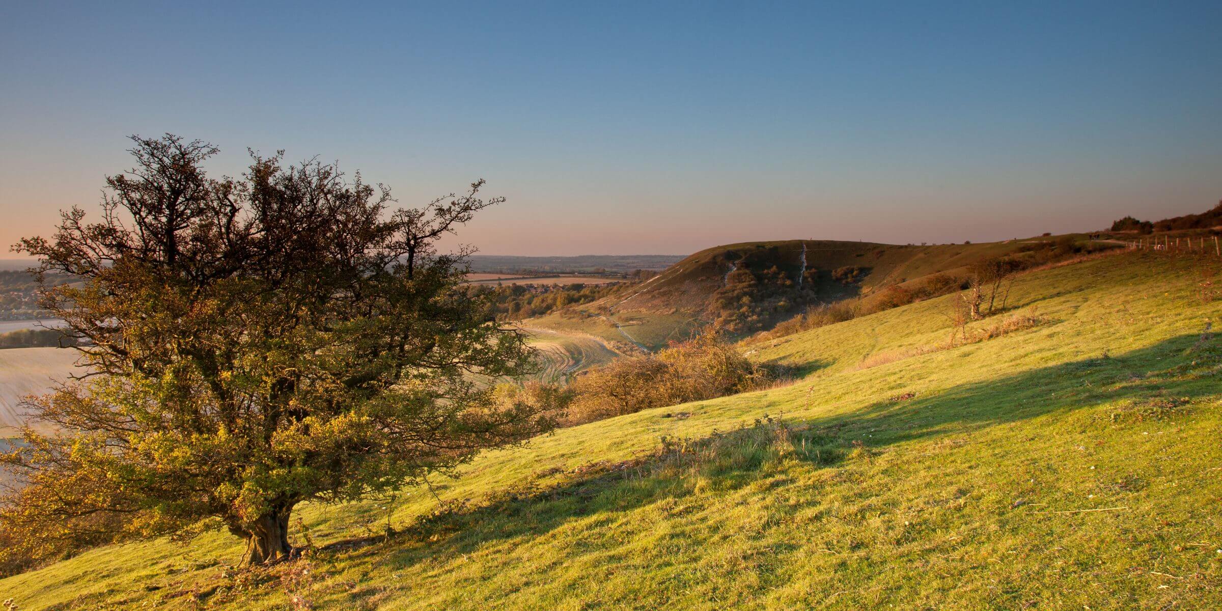 Chalk Escarpment Chilterns Dunstable Downs