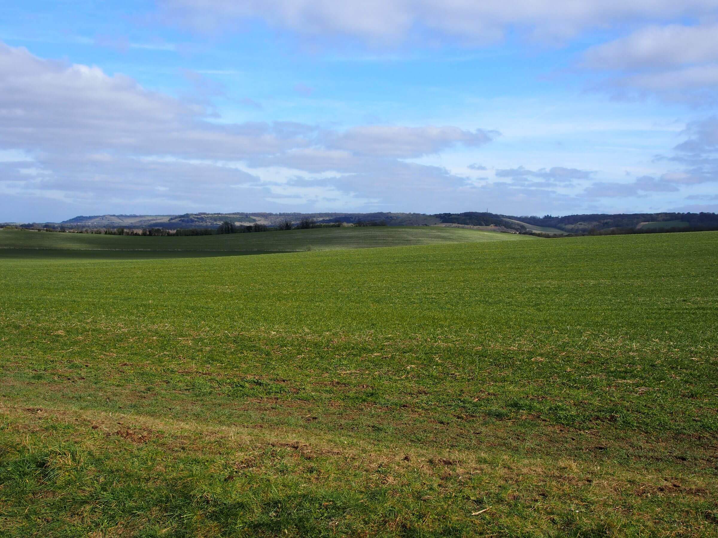 Chilterns Scarp foothills and vale fringes up to M40 from bottom of Britwell Hill