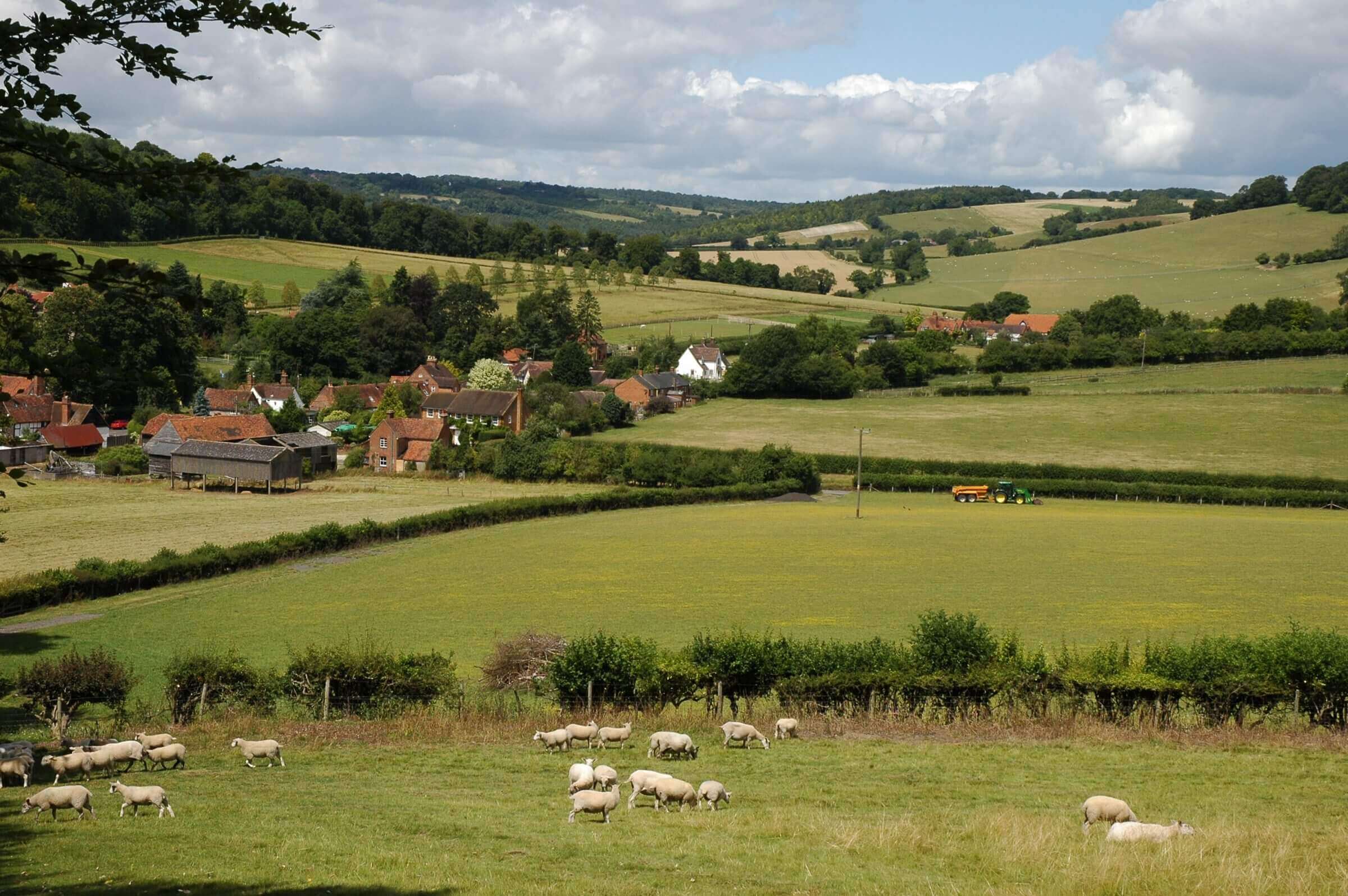 Fingest Valley in the Chilterns - Plateau and Dipslope landscape character