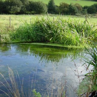 Update on River Chess Smarter Water Catchment