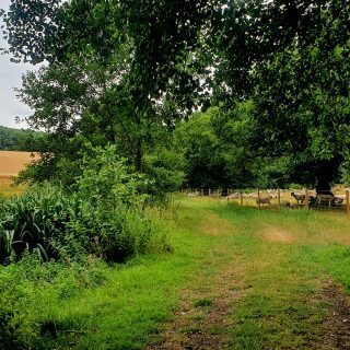 Smarter Water Catchment Update