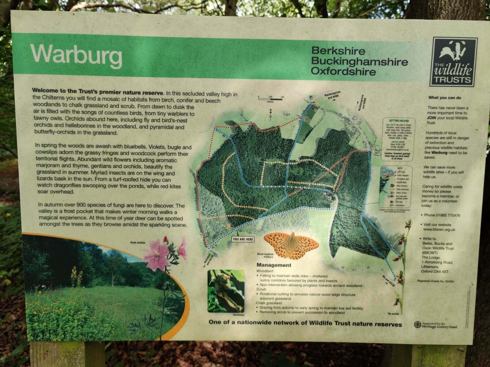 Tom Horsfield Warburg interpretation board