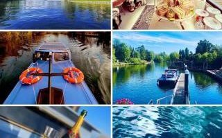 magpies-and-butterflies