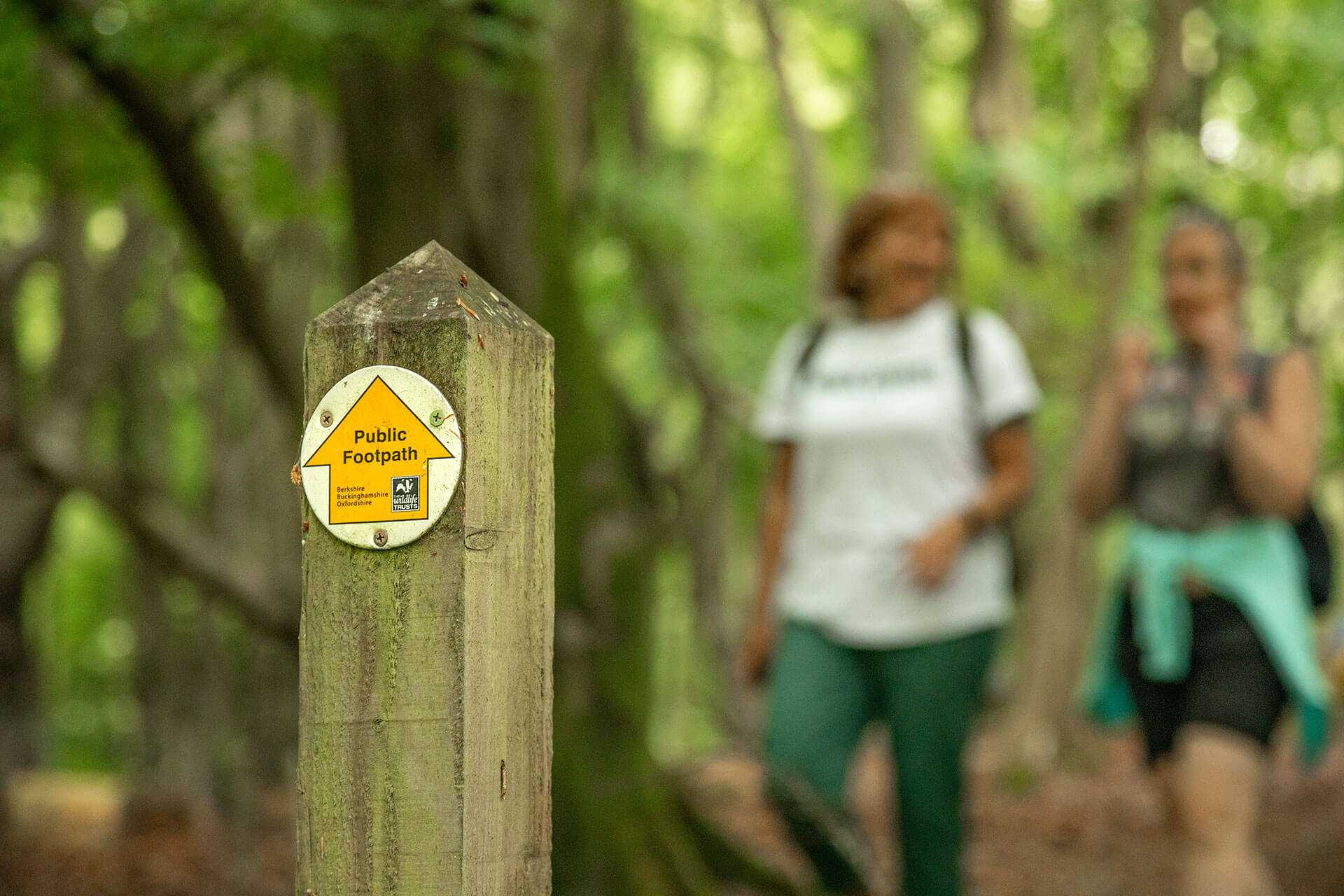 Walks Works walking group-Bix and surrounding area-13