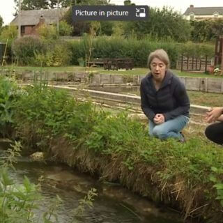 Chilterns Chalk Stream project appears on ITV Meridian News