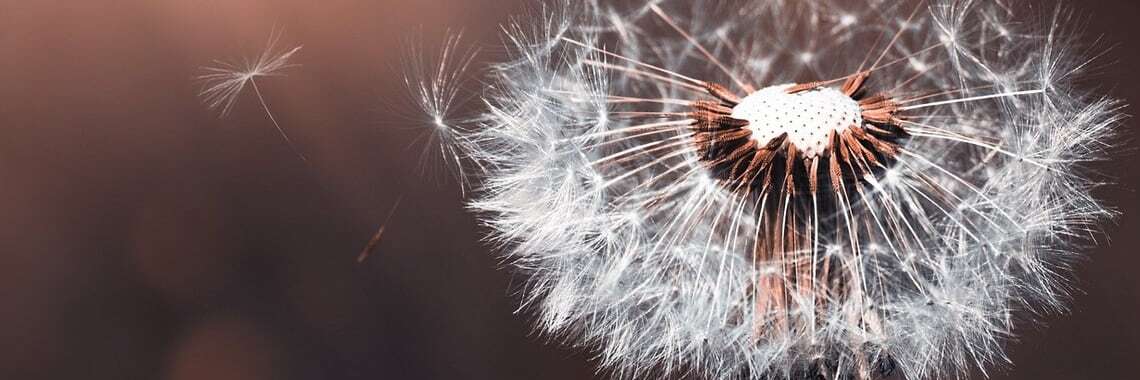 sample_banner ad 1140x380