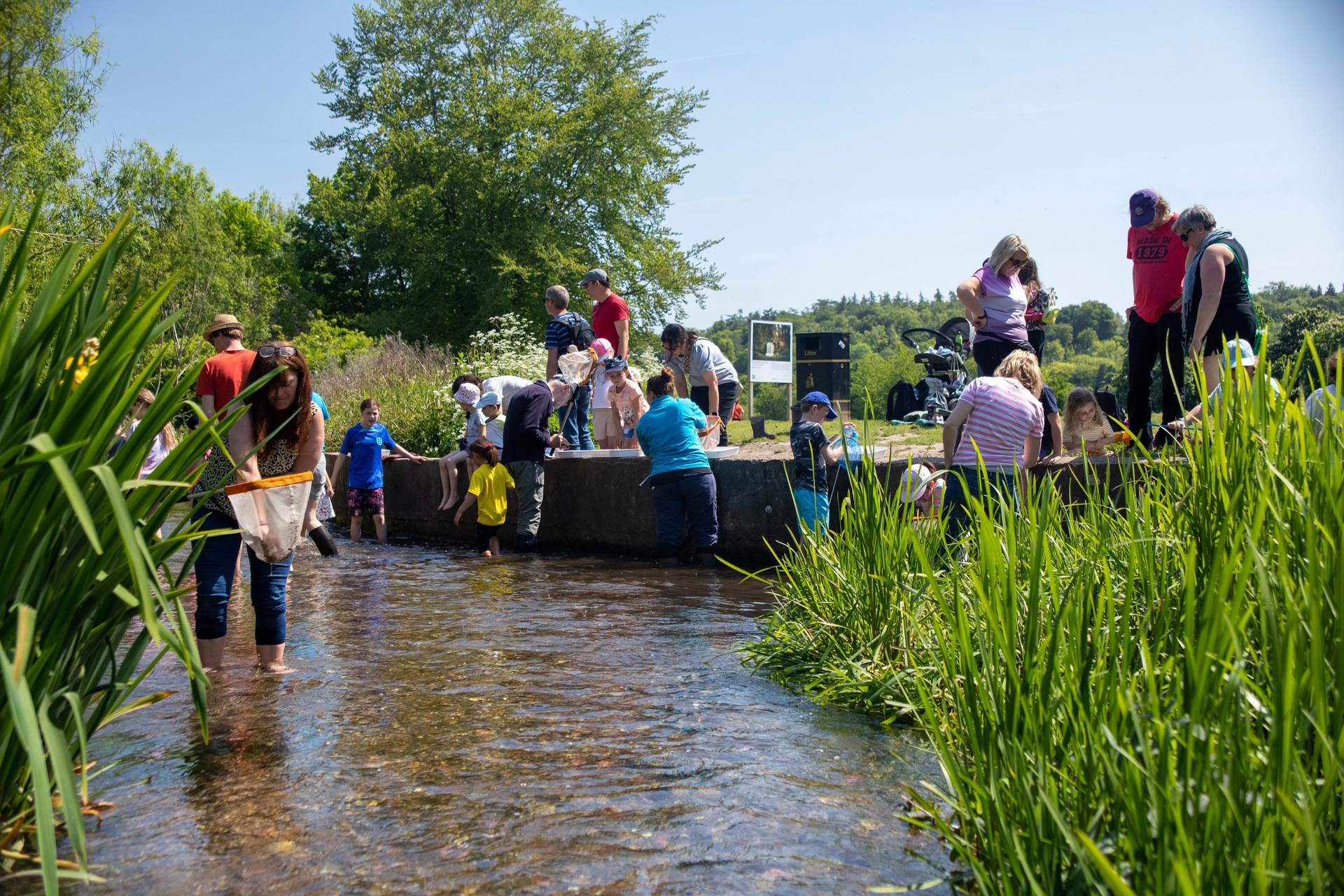 Chalk Streams and Wetland Meadows Project (2021-2023)