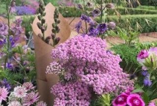 Chiltern Sky Flowers