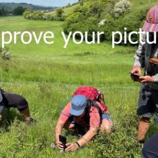 Experience Mary Tebje photography walk shops WEB 540 x 334