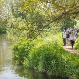 Walk works Experience low res