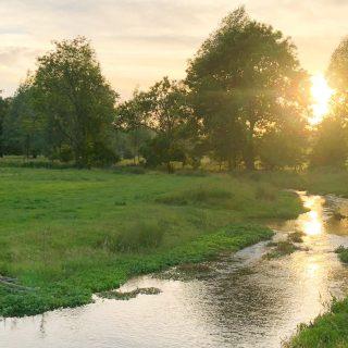 New planning guidance launched to protect fragile chalk streams