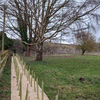 Please Mend the Gap: An update on our landscape enhancement project between Reading and Didcot