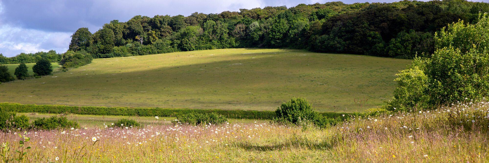 Managing your land for nature